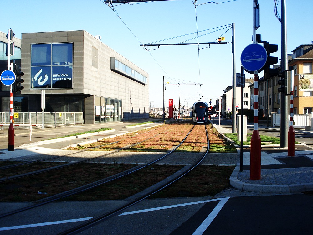 tram in Luxemburg